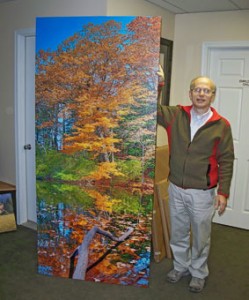 Vincent-Vertical-Pan
