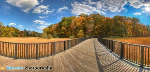 Photo Premiere: Cycling Path