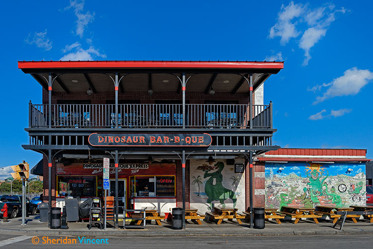 Dinosaur Bar-B-Que in Syracuse