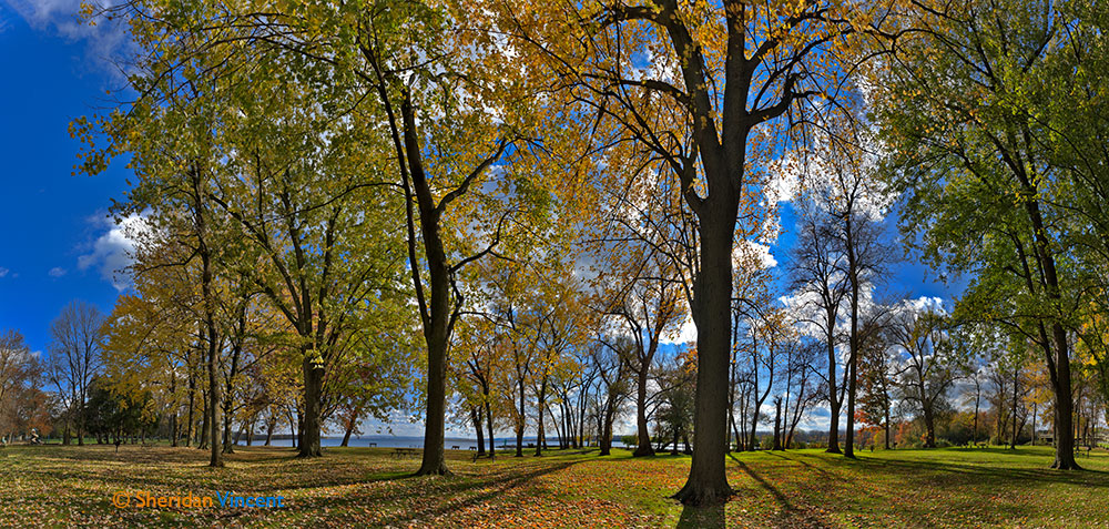 Willow Bay # 8463 Onandaga Lake Park