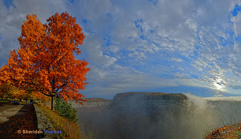 Fog in the Gorge 