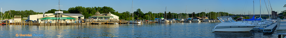Summer Night on the Genesee II