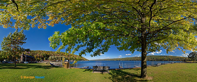 Depot Park by Sheridan Vincent