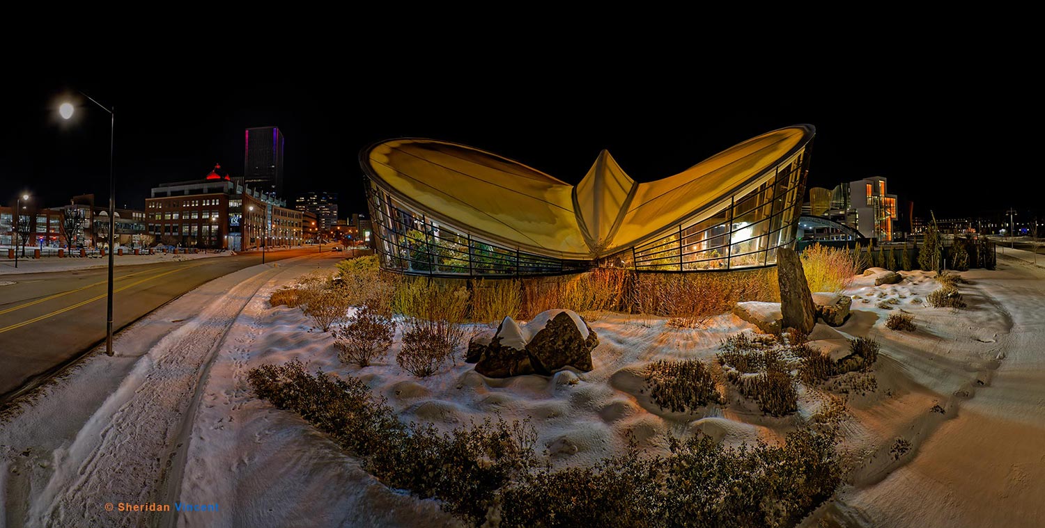 Dancing Wings Butterfly Garden - Winter