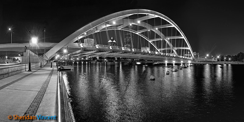 Rochester's Delight 2012 Black-and-White by Sheridan Vincent