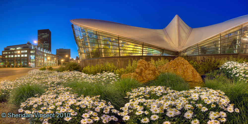 Strong Museum Butterfly Atrium # 