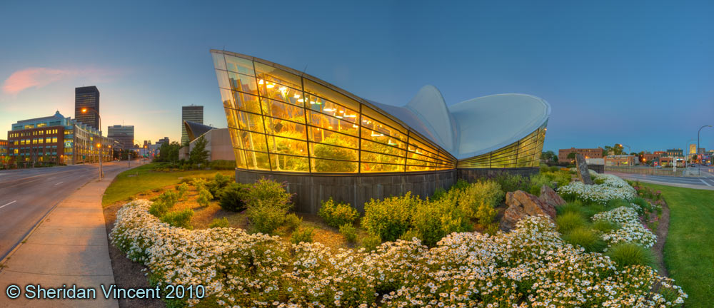 Strong Museum Butterfly Atrium # 3